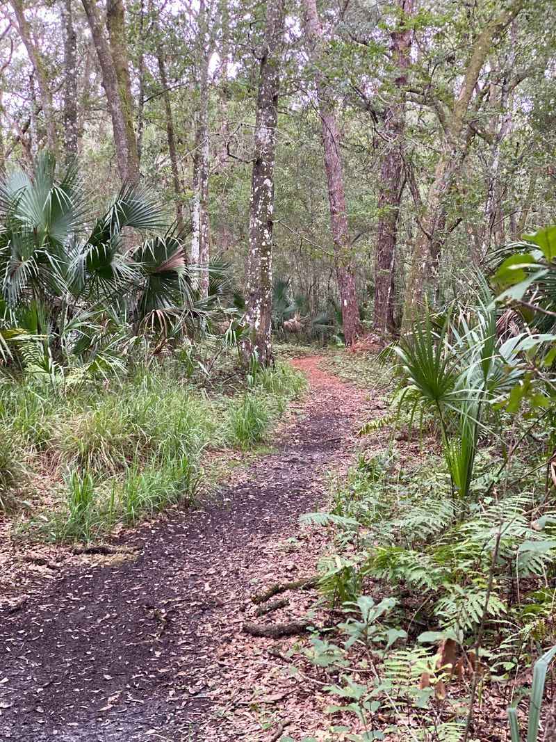 Close to Eight Miles of Looping Path