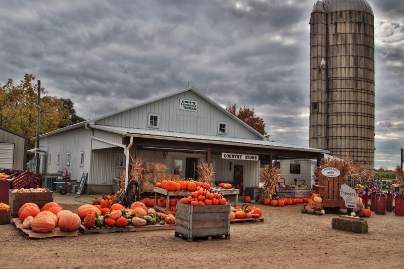 Cody's Farm & Orchard, LLC, Marengo, IL