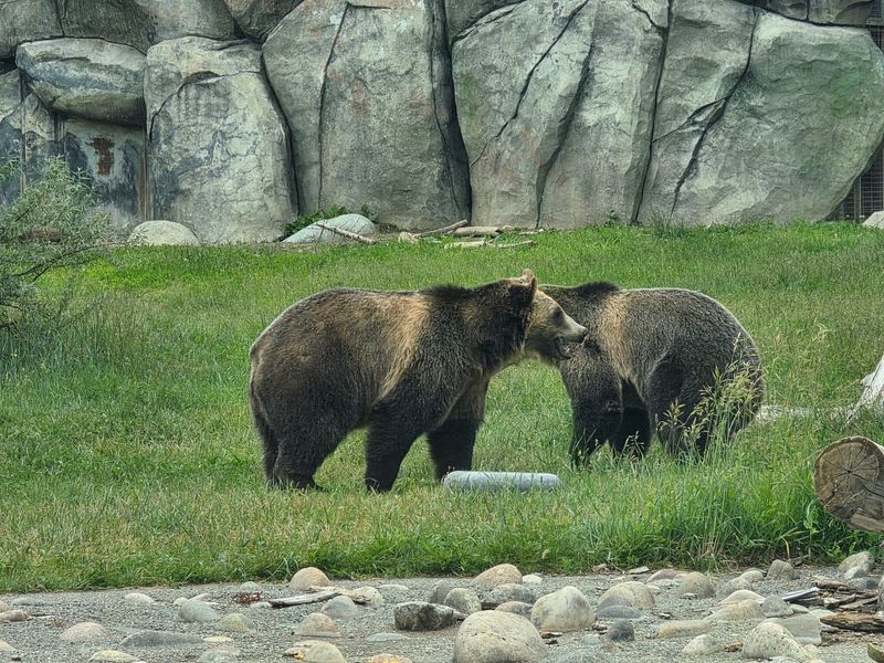 Cold-Climate Animals Along the 45th Parallel Cold-Climate Animals Along the 45th Parallel