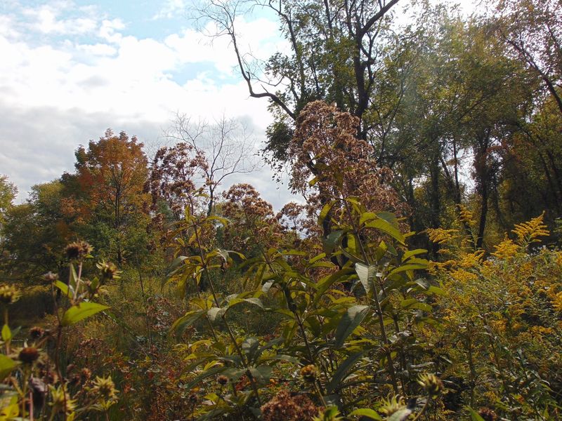 Community Conservation Beyond the Reserve Boundaries