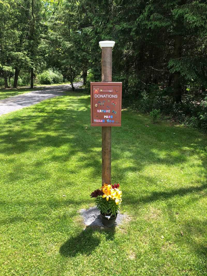 Community Events and the Recreation Committee Behind It All
