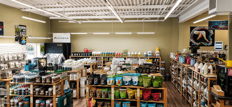 Competitive Pricing That Beats Online Retailers