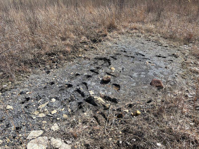 Concretions and How to Find Them Concretions and How to Find Them