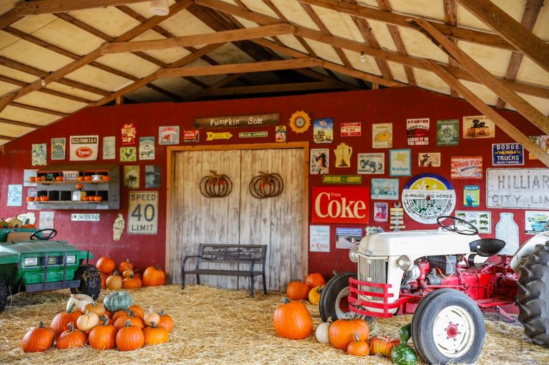 Conner's A-Maize-Ing Acres Farm, Hilliard, FL