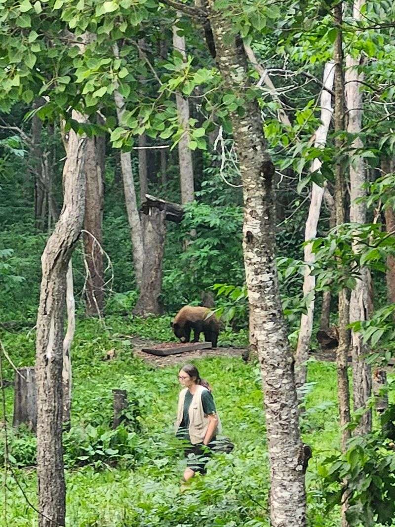 Conservation Values at the Heart of the Sanctuary