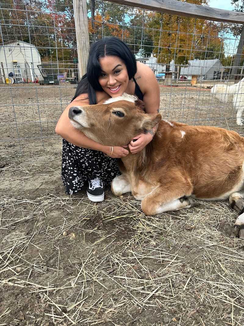 Cow Cuddles With Time to Linger Cow Cuddles With Time to Linger