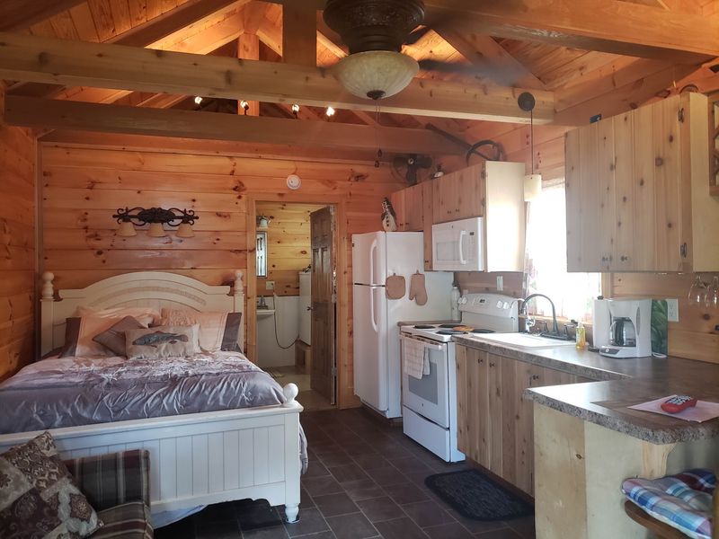 Cozy Cabins With Warm Wooden Walls