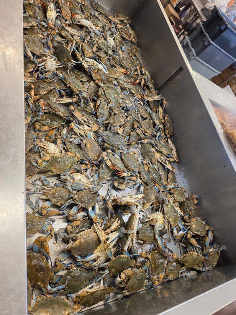 Crabs And Crawfish When The Season Is Right Crabs And Crawfish When The Season Is Right