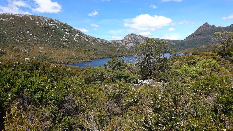 Cradle Mountain-Lake St Clair National Park, Cradle Mountain, Tasmania, Australia Cradle Mountain-Lake St Clair National Park, Cradle Mountain, Tasmania, Australia