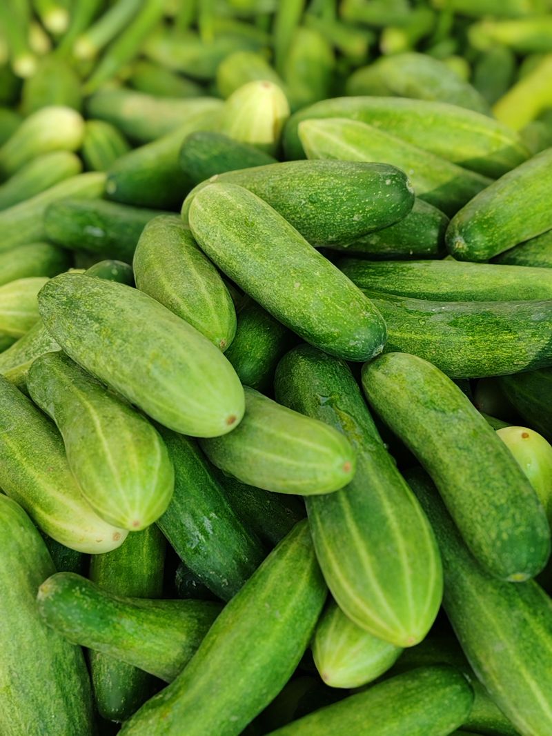 Cucumber Cucumber