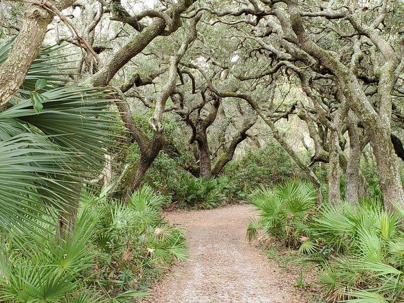 Cumberland Island National Seashore, St. Marys, Georgia