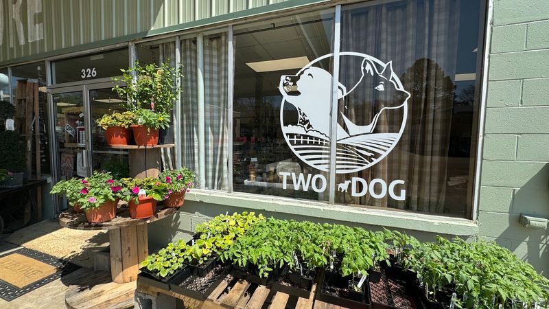 Cute Gifts And Local Artisan Finds