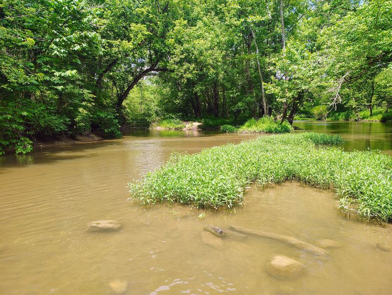 Darby Creek and Its Water-Based Appeal