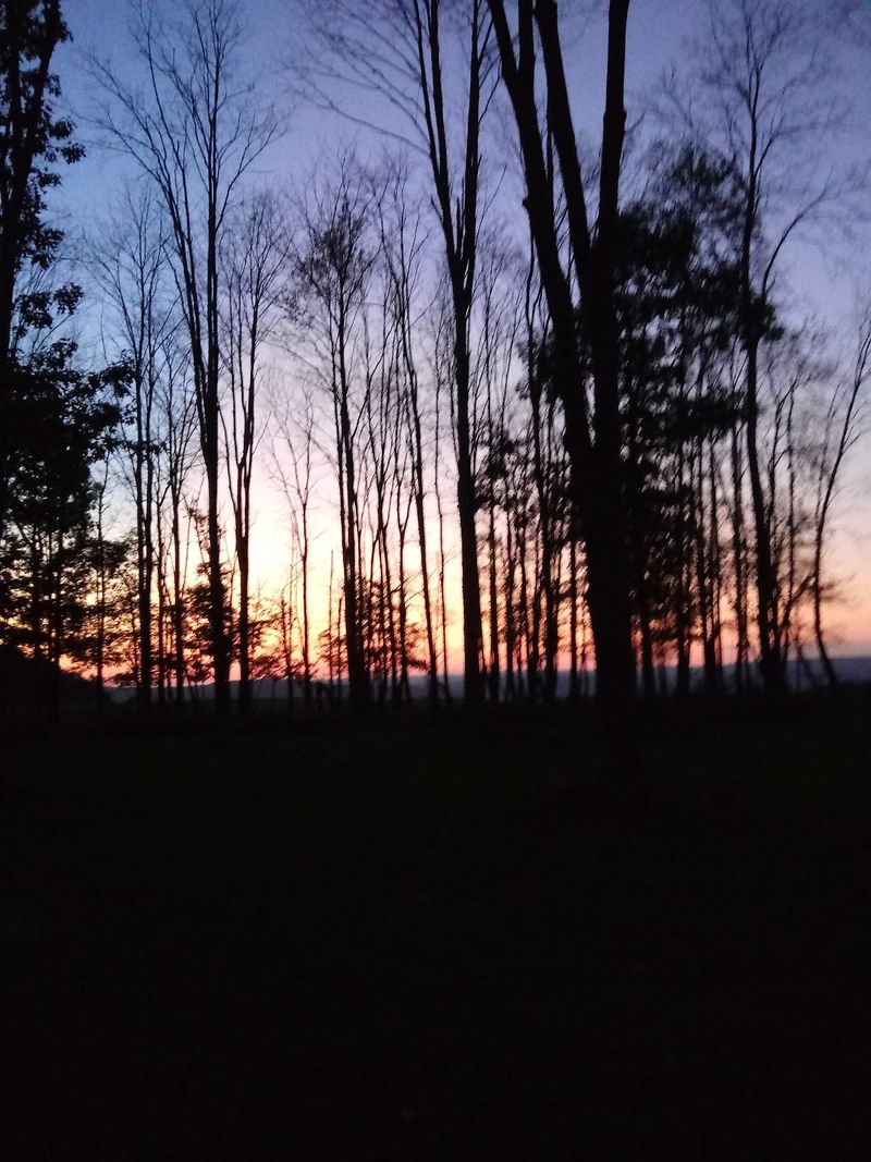 Dark Skies, Wildlife Beyond Elk, and Sensory Surprises Dark Skies, Wildlife Beyond Elk, and Sensory Surprises
