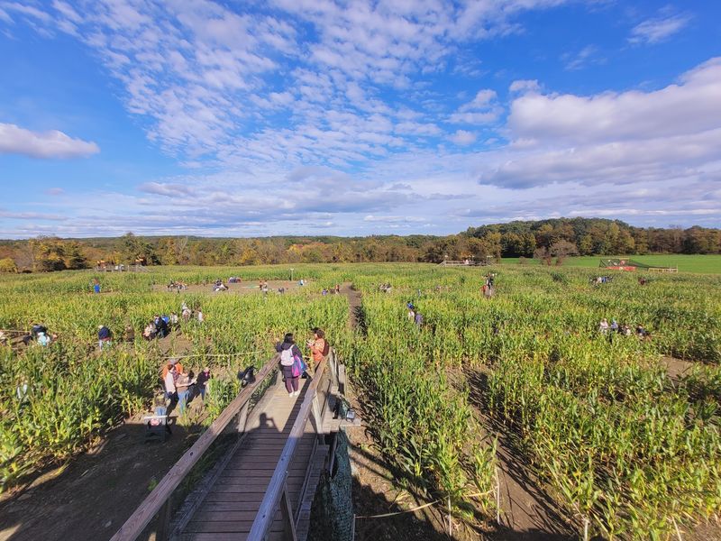Davis Mega Maze, Sterling, MA Davis Mega Maze, Sterling, MA