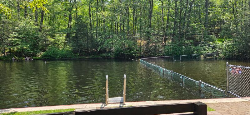 Deep Water, Shallows, And A Real Swim Test Deep Water, Shallows, And A Real Swim Test