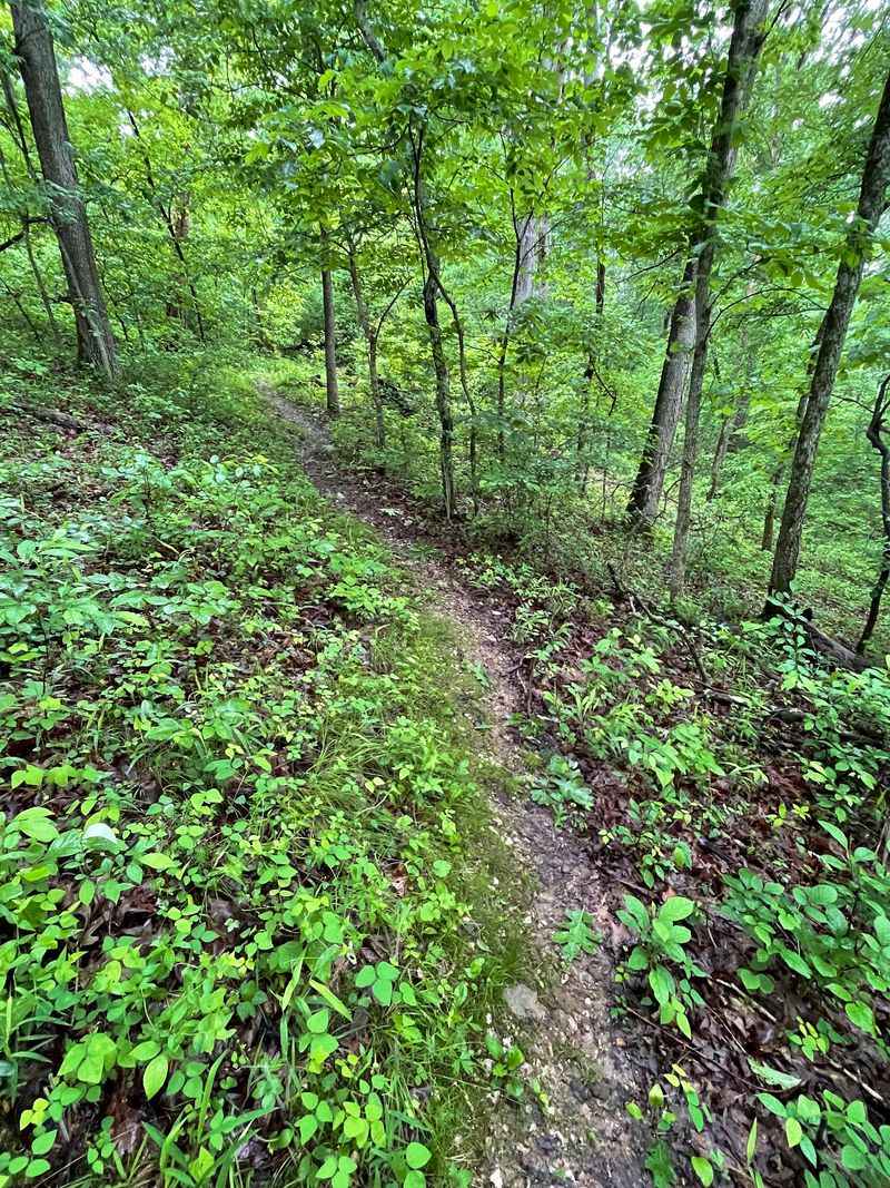 Deer Hollow Trail, Sullivan, Missouri