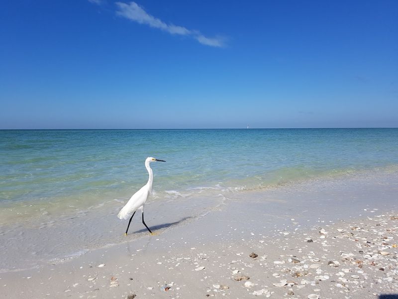 Delnor-Wiggins Pass State Park, Naples, Florida