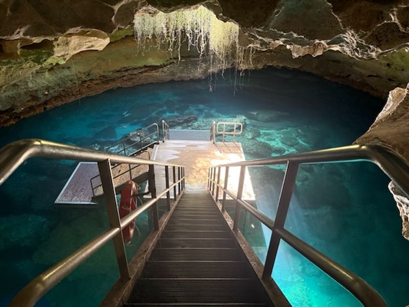 Devil's Den Prehistoric Spring and Campground, Williston, FL Devil's Den Prehistoric Spring and Campground, Williston, FL