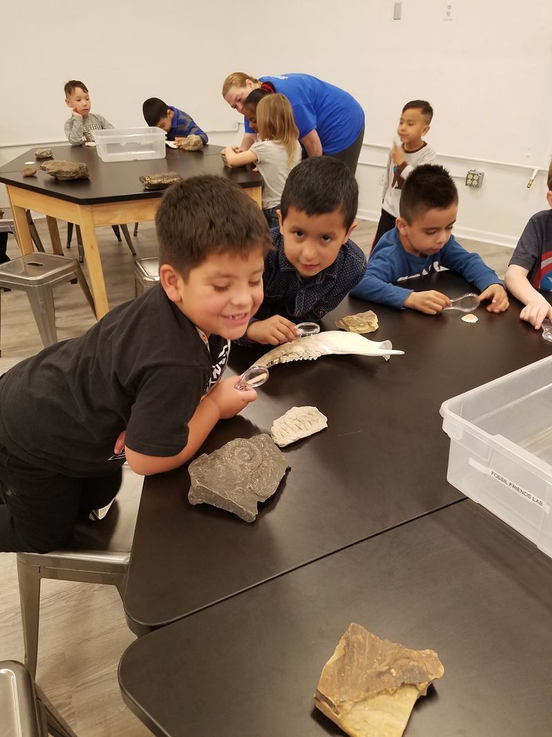 Digging for Fossils Like a Real Paleontologist Digging for Fossils Like a Real Paleontologist