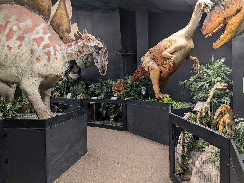 Dinosaur Museum, Branson, Missouri Dinosaur Museum, Branson, Missouri