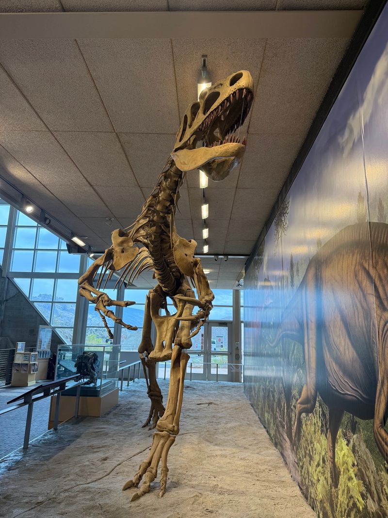 Dinosaur National Monument, Jensen, Utah Dinosaur National Monument, Jensen, Utah
