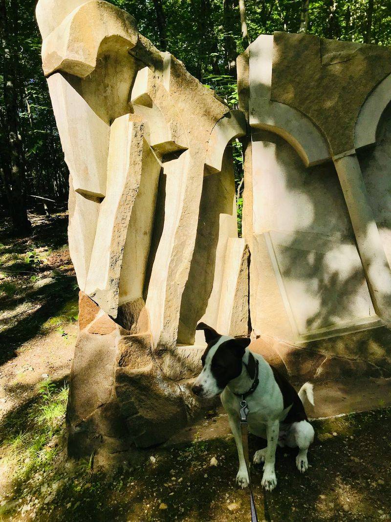 Dog-Friendly, Family-Friendly, and Genuinely Free: Who This Park Is For Dog-Friendly, Family-Friendly, and Genuinely Free: Who This Park Is For