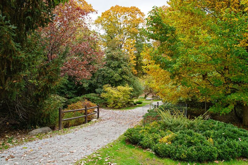 Dog-Friendly Trails With Simple Rules