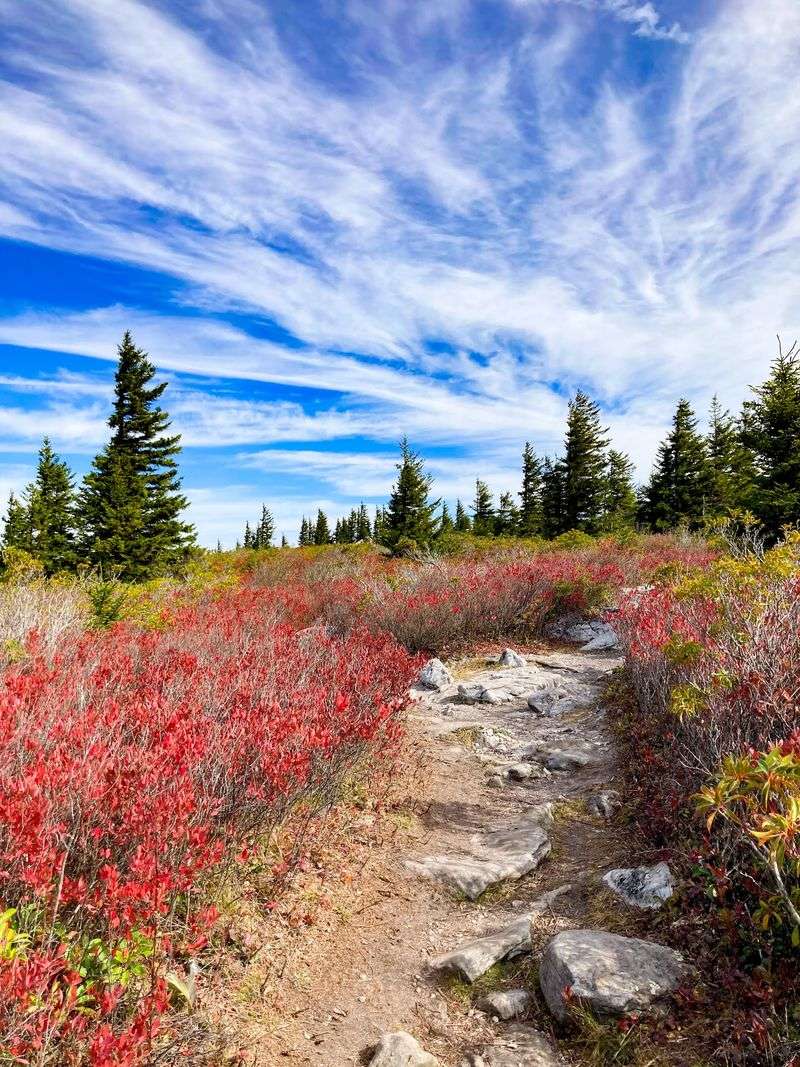 Dolly Sods Wilderness, Davis, West Virginia Dolly Sods Wilderness, Davis, West Virginia