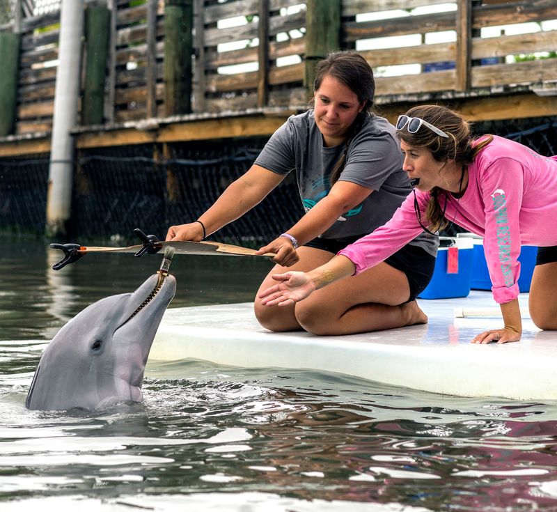 Dolphin Research Center, Grassy Key, FL Dolphin Research Center, Grassy Key, FL
