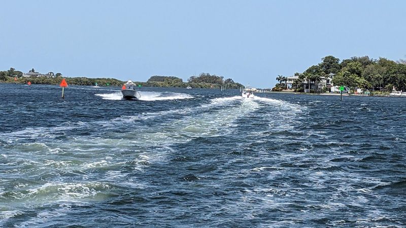 Dolphin Spotting on the Water Dolphin Spotting on the Water