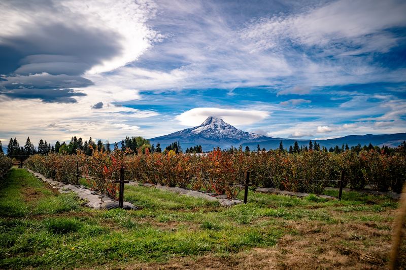 Draper Girls Country Farm, Mt Hood, OR