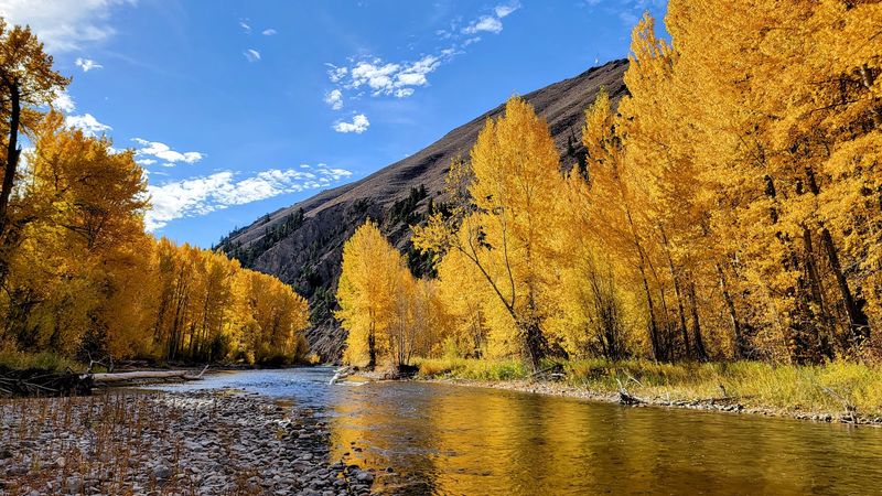 Draper Wood River Preserve, Hailey, Idaho