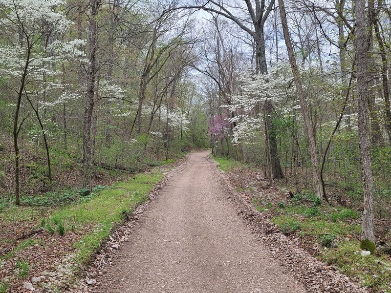 Driving the Preserve Road as a Wildlife Route Driving the Preserve Road as a Wildlife Route