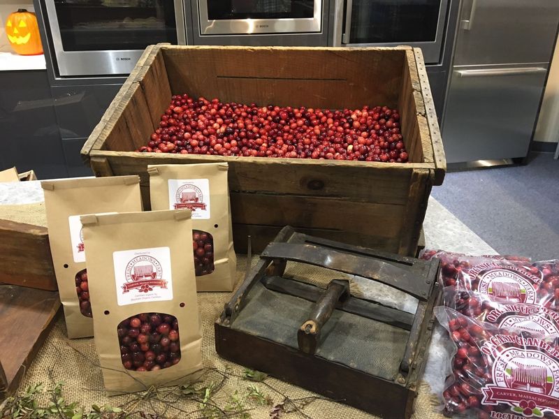 Dry-Picked Berries You Can Take Home