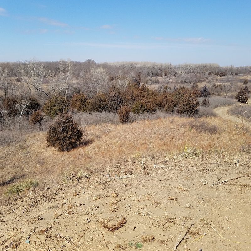 Dune Trail, Hutchinson, Kansas Dune Trail, Hutchinson, Kansas