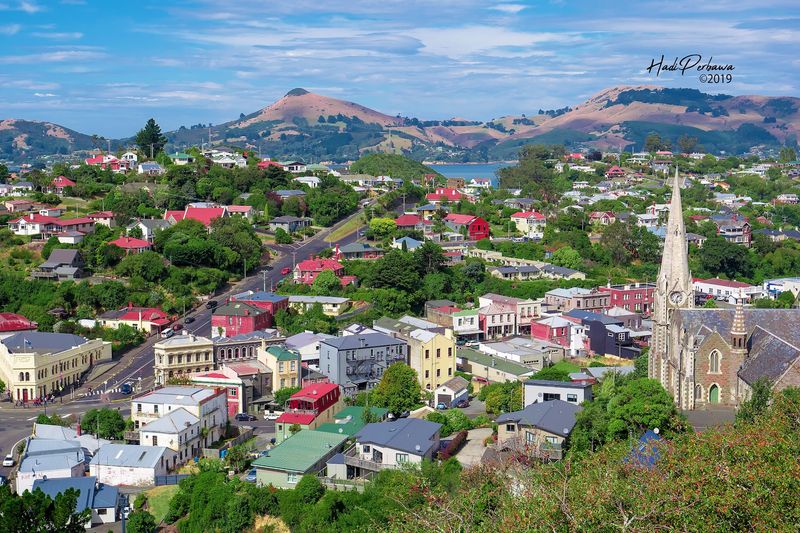 Dunedin, New Zealand