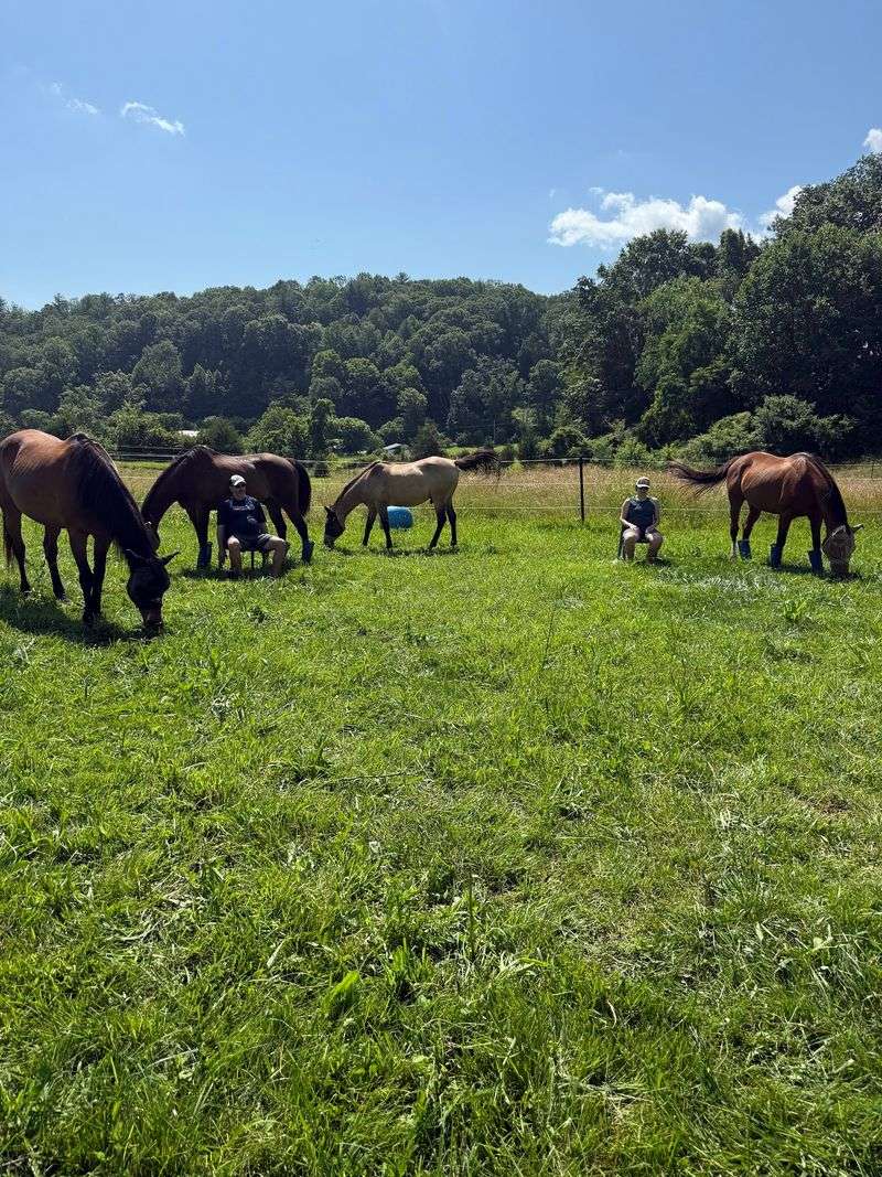 Dusty, Nika, and the Rest of the Herd Dusty, Nika, and the Rest of the Herd