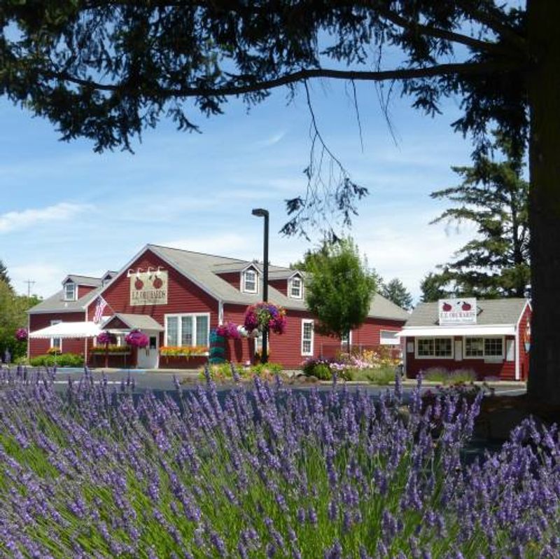 E.Z. Orchards Farm Market, Salem, OR