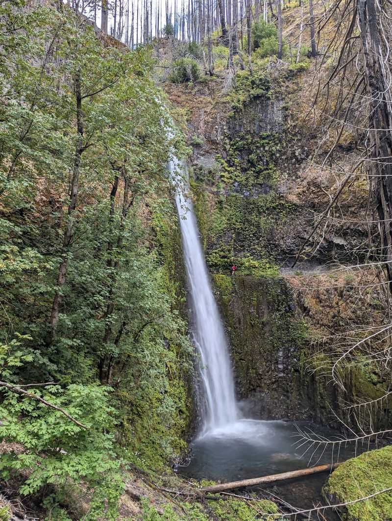 Eagle Creek Trail's Story of Fire and Recovery