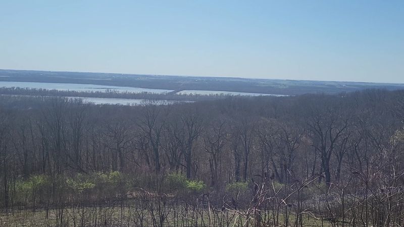 Eagle Watching Along the River Corridor