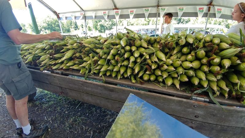 Eckerts Corn Stand, Southampton Township, NJ Eckerts Corn Stand, Southampton Township, NJ