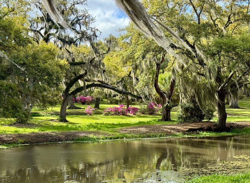 Edmund McIlhenny's Love of Plants Edmund McIlhenny's Love of Plants