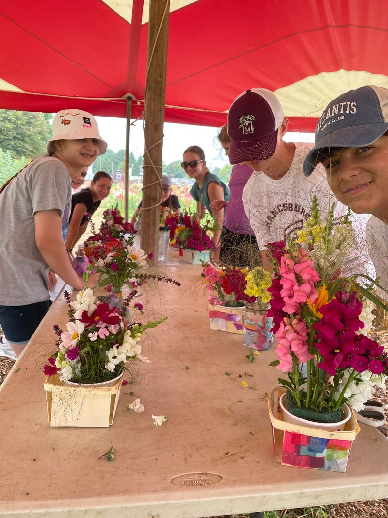Educational Programs That Make Learning Hands-On Educational Programs That Make Learning Hands-On
