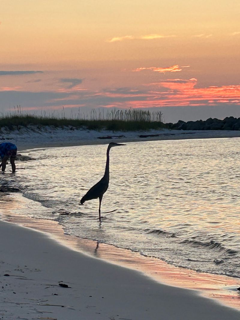 Eight Dollars, Sunsets, and a Few Smart Tips Eight Dollars, Sunsets, and a Few Smart Tips