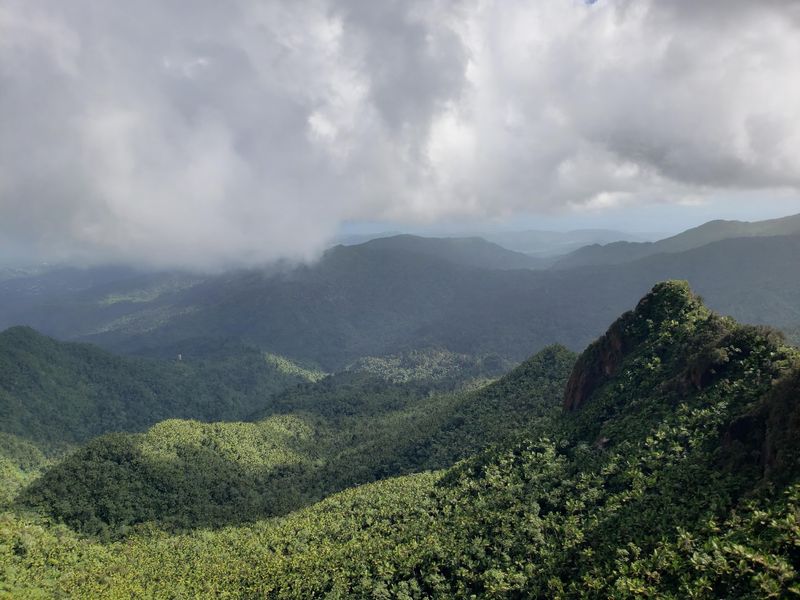 El Yunque National Forest, Puerto Rico El Yunque National Forest, Puerto Rico
