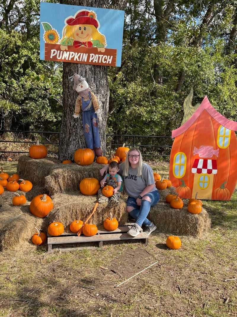 Elephant Paintings, Pumpkin Patches, and Seasonal Events Worth Planning Around Elephant Paintings, Pumpkin Patches, and Seasonal Events Worth Planning Around