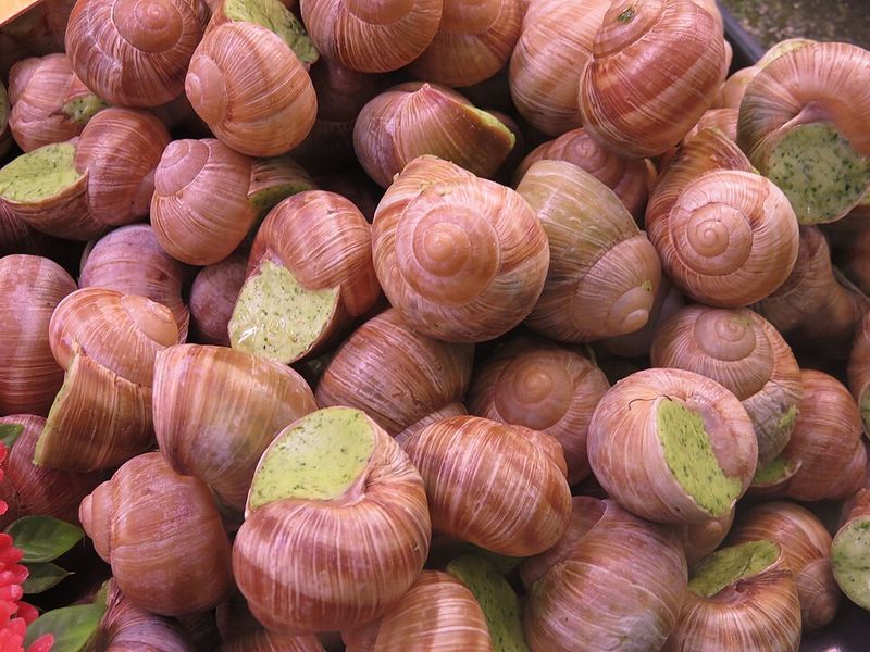 Escargots de Bourgogne (France) Escargots de Bourgogne (France)