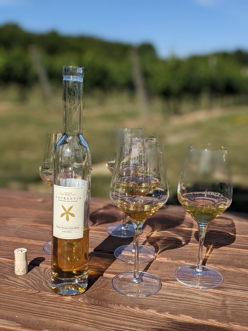 Estate Wines Grown Right on the Property Estate Wines Grown Right on the Property
