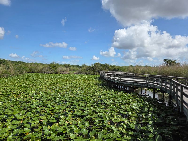 Everglades National Park Everglades National Park